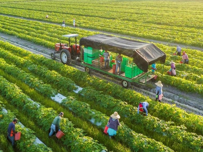 Điều kiện phát triển nông nghiệp tuần hoàn hiệu quả và tiết kiệm chi phí