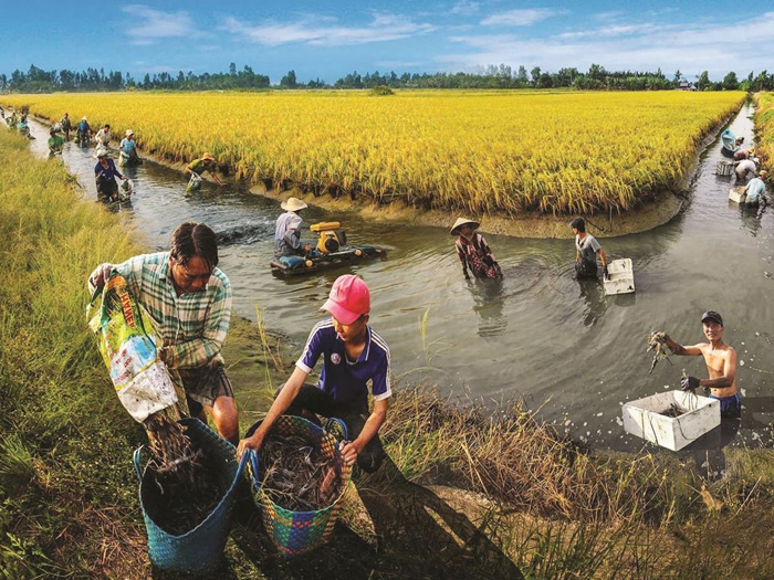 Nguyên tắc cốt lõi của mô hình kinh tế tuần hoàn trong nông nghiệp là gì?