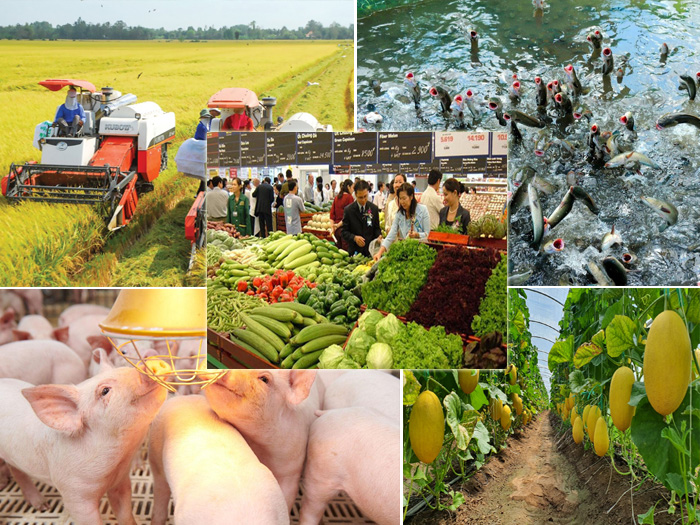 Sản phẩm từ nông nghiệp tuần hoàn phổ biến ở Việt Nam là gì?