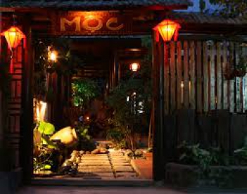 Công ty Diệt côn trùng T&C xử lý mối cho quán cafe Mộc Quận Tân Bình - Mạng làm giàu