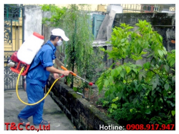 Phun thuốc diệt muỗi tại nhà giá rẻ - Mạng làm giàu