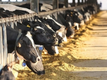 Chăn nuôi tuần hoàn là gì và vì sao mô hình này được áp dụng nhiều?