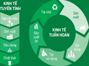 Nguyên tắc cốt lõi của mô hình kinh tế tuần hoàn trong nông nghiệp là gì?