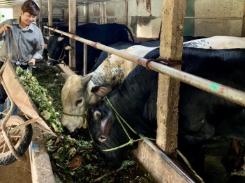 Thế nào là mô hình sản xuất nông nghiệp tuần hoàn bền vững?