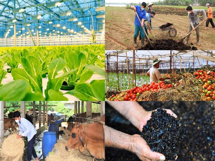 nông nghiệp tuần hoàn